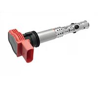 Facet Bobina d'accensione 96327 – Equivalente OE per Audi, Porsche, VW