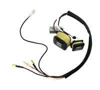 Bobina di accensione Accenditore adatto for generatore 450W 650W 800W 950W 1000W 2 tempi ET950 ET650 IE45 TG950 con magnete(Black)