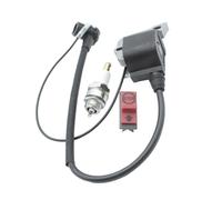 Bobina di accensione Accesa Spina di spegnimento dell'interruttore di arresto