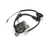 Bobina di accensione adatta for 1E40F-540F-5 1E44F-5 e altri motori fuoribordo a 2 tempi da 43 cc H a 2 tempi da 3,5 CV