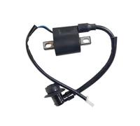 Bobina di accensione adatta for accenditore for modulo generatore variabile portatile da 2000 a 2200 WATT 24 V