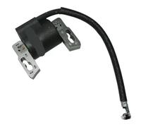 BOBINA DI ACCENSIONE adatta for BS130329 DS 700 750 MOTORE 797040