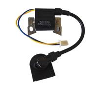 BOBINA DI ACCENSIONE Adatta for KG105-14100 IG2000 IG2000S IG2600 GS2600 KGE2000TI KG158 PACCO A PRESSIONE PARTI DEL MOTORE A BENZINA