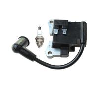Bobina di accensione adatta for motori TLE23 TLE26 CG260 BC260 1E34F-2E 013666