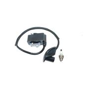 Bobina di accensione Adatta for SL TS400 4134 400 1303 Versione a Due Fori
