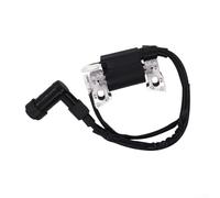 Bobina di accensione Assy 30500-Z07-023 Compatibile con EB2000I EB2000IT1 EU2000I EU2000IK1 EU2000IT1 Generatore Sostituzione diretta Plastica di qualità Installazione semplice Nessuna codifica