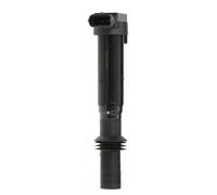 Champion Bobina d'accensione BAEA557 12 V per Peugeot Citroën DS Opel Vauxhall