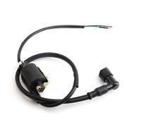 Bobina Di Accensione Bobina Accensione A 2 Fili 6V Per XL185 XL XR 70 75 80 100 125 175 185 200 250 350 D50 Per CT70 CT90 C70 Accessori Per Ciclomotori Scooter