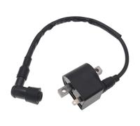 Bobina Di Accensione Bobina Di Accensione 1 Pezzo Per LT50 LTA50 50cc 2 Tempi Per Jincheng AX100 A100 AK100 FR80 100cc Per Mini ATV Quad 4 Ruote Moto Bici