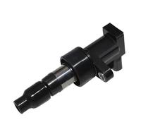 Bobina di accensione Bobina di accensione per Auto per Jaguar per S-Type 2.5 V6 2002-2007 per X-Type per XF OEM UF435 6R8312A366BA C2S42673 Bobina di accensione per Auto