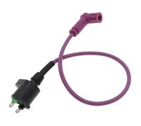 Bobina Di Accensione Bobina Di Accensione Per Moto Pit Bike Quad ATV Per 50cc 70cc 90cc 110cc 125cc 140cc 150cc 160cc(Viola)