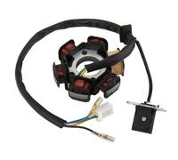 Bobina Di Accensione Bobina Generatore A 6 Poli Piastra Magneto-statore Per GY6 110 125cc Per ATV Per PIT