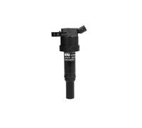 Bobina di accensione BORG WARNER (BERU) ZS478