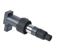 Bobina Di Accensione C2S42673 Compatibile Con Jaguar S-Type E X-Type