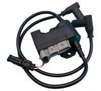 Bobina di accensione calibrata modulo per Ski-Doo per spedizione per Freestyle MXZ Grand Touring, pezzo di ricambio 512059518 512059626 512060040, bobina motore a slitta in PP nero
