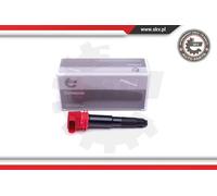 Bobina di accensione cavità candela 03SKV337 ESEN SKV per PORSCHE PANAMERA