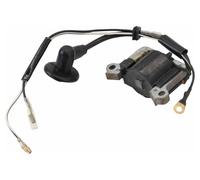 Bobina Di Accensione Compatibile Con Einhell BG-BC43 Tagliabordi