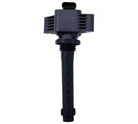 Bobina di Accensione Compatibile Con Exeed Per TX LX VX TXL 1.6T 1.5T 2.0T 2021 1 Pz Bobina Di Accensione Per Auto Motori Per Veicoli Bobine Di Accensione F4J16-3705110AB F01R00A134