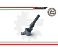 ESEN SKV 03SKV223 Bobina d'accensione 12V per FORD USA F-150 X Pickup