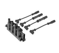 Bobina di accensione con cappuccio candela accensione ZS079A BorgWarner (BERU)