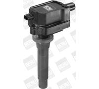 Bobina di accensione con cappuccio candela accensione ZS433 BorgWarner (BERU)
