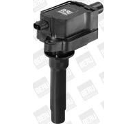 Bobina di accensione con cappuccio candela accensione ZS434 BorgWarner (BERU)
