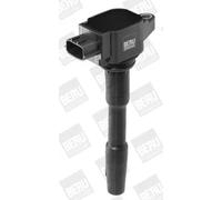 Bobina di accensione con cappuccio candela accensione ZSE131 BorgWarner (BERU)