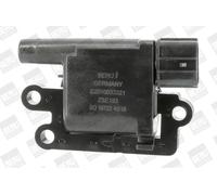 Bobina di accensione con cappuccio candela accensione ZSE193 BorgWarner (BERU)