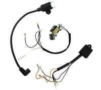 Bobina di accensione con magnete adatta for generatore a 2 tempi ET950 ET650 IE45 TG950 450W 650W 800W 950W 1000W(3 pcs kit)