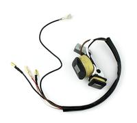 Bobina di accensione con magnete adatta for generatore a 2 tempi ET950 ET650 IE45 TG950 450W 650W 800W 950W 1000W(As show)
