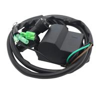 Bobina di accensione con Magnete per CDI per TOHATSU per fuoribordo per M6B per M8B per M9.8B 2 Tempi 3B2-06170-0 3B2-06060-0 3B2-06060-1 Accensioni