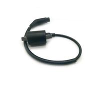 Bobina di accensione con relè solenoide for 260CC 300CC 400 500 520 550 22012 EFI LH260 LH300 ATV Quad UTV(IGNITION COIL)