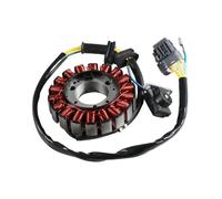 Bobina Di Accensione Del Generatore Dello Statore Della Motocicletta Per Adly ATV 300U II 300XS Assault 300 Per Hurricane 400 Statore Accensione Magneto
