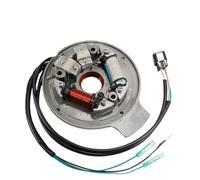 Bobina di accensione del generatore statore adatta per 40 CV E40G E40GMH E40GMHL E40GMHS EK40GMHL 2018-2019