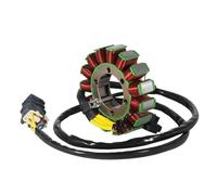 Bobina di accensione dello statore del generatore Compatible with motociclette compatibile con 700 EFI 4x4 LOF AX GOES ATV GOES 31120-E20-001 part