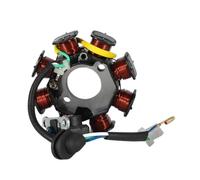 Bobina di accensione dello statore del generatore Compatible with motociclette compatibile con ANF125 Wave 125 PGMFI NF125 125 part