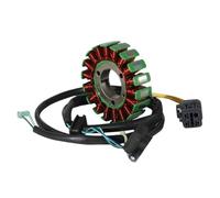 Bobina Di Accensione Dello Statore Del Generatore Per Motocicletta Comp Per Triton ATV Baja 300 Supermoto 250 400 IRS Crosser EFI 31120-E10-100 Statore Magnete Piastra Bobina