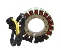 Bobina Di Accensione Dello Statore Del Generatore Per Motocicletta Per F650GS F800R F800S F800GS F800ST F800GT F700GS Statore Magnete Piastra Bobina