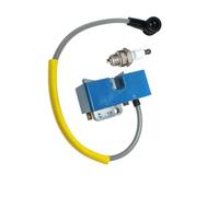 Bobina di accensione e candela PRUFREX 2300561 for Solo 603 670 680 690