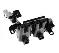 NTY Bobina d'accensione ECZ-HY-507 per Hyundai e Kia (Getz, Elantra, Matrix, Rio)