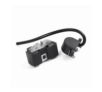 Bobina di accensione elettronica adatta for 42 242 242XP 238 244RX 246
