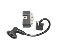 Bobina di accensione elettronica adatta for 42 242 242XP 238 244RX 246