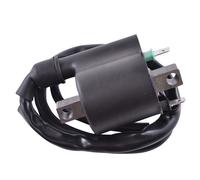 Bobina Di Accensione Esterna Per Honda TRX 420 / 500 2012-2026 | # 30510-HR3-A21