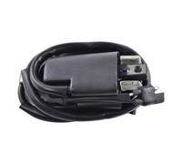 Bobina Di Accensione Esterna Per Lynx 6900 FCE 2002 OEM Repl.# 420866605