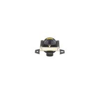BOSCH F 000 ZS0 113 Bobina d'accensione