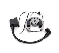 Bobina di accensione for moto, bobina magnetica, statore, volano, adatto for 50cc SX 50 Pro Senior Junior SR JR 2001-2008