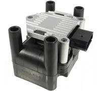 Delphi Bobina d'accensione GN10018-12B1 SAE per VW, Audi, Skoda