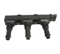 Delphi GN10201-12B1 Bobina d'accensione