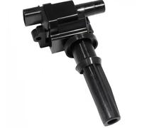 Delphi Bobina di accensione GN10303-12B1 12V per Hyundai Santa Fé I, Kia Sorento I