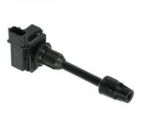 Delphi Bobina d'accensione GN10306-12B1 per Nissan Maxima/Maxima QX V/Cefiro III